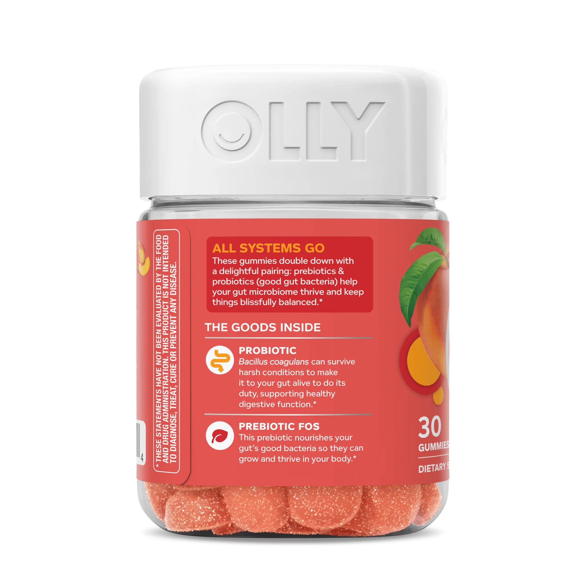Probiotic + Prebiotic - Image 4