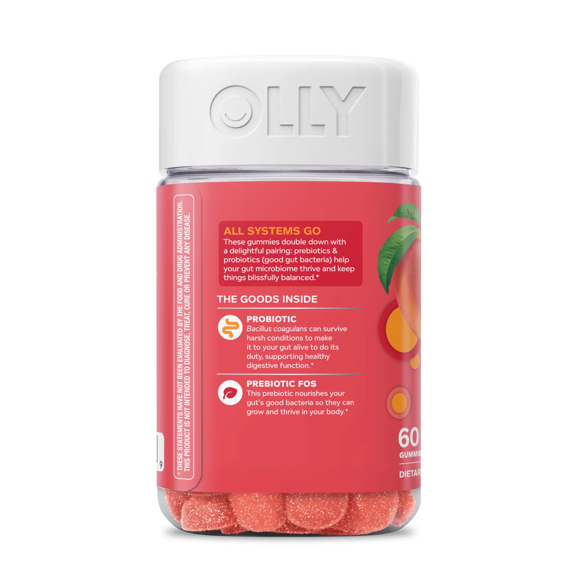 Probiotic + Prebiotic - Image 9